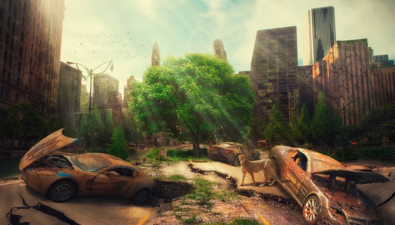 Постапокалипсис арт