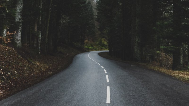 Лесная дорога