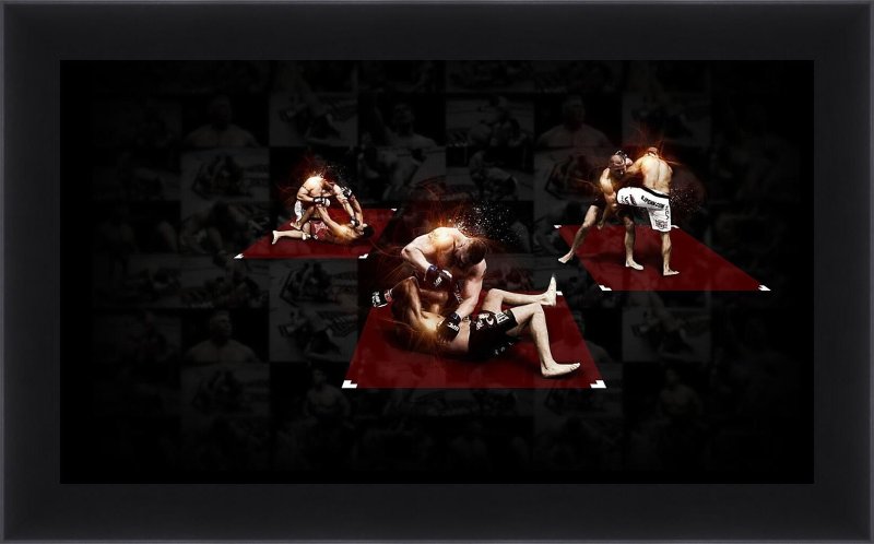 Смешанные боевые единоборства