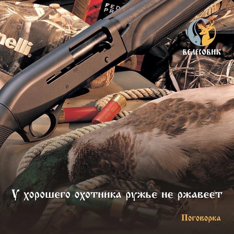 Охотник заставка