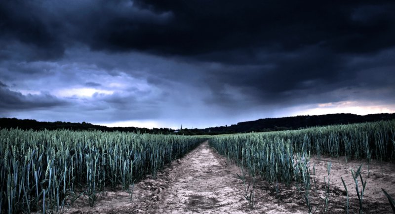 Пасмурная природа