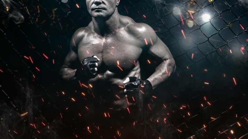 Бойцовский ринг юфс