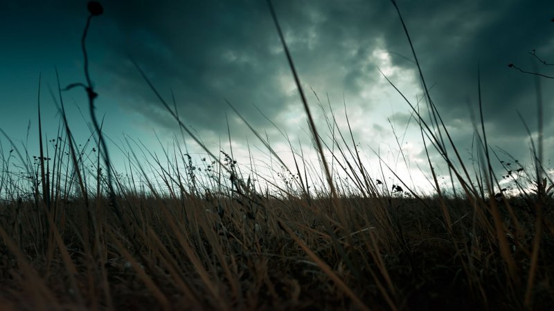 Пасмурная природа