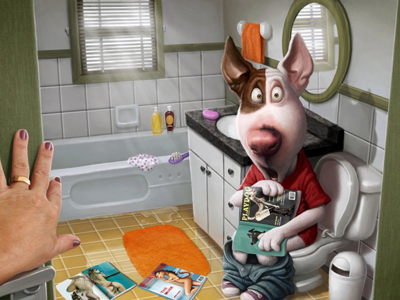 Смешные обои