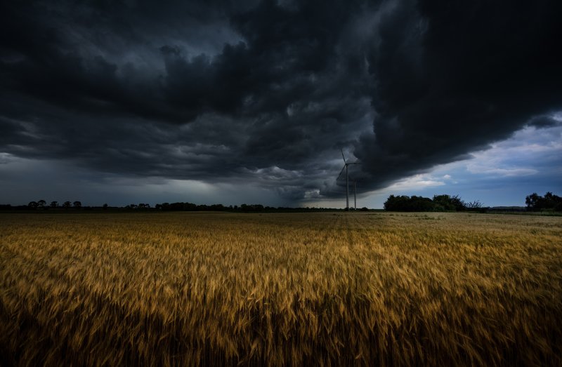 Мрачное поле