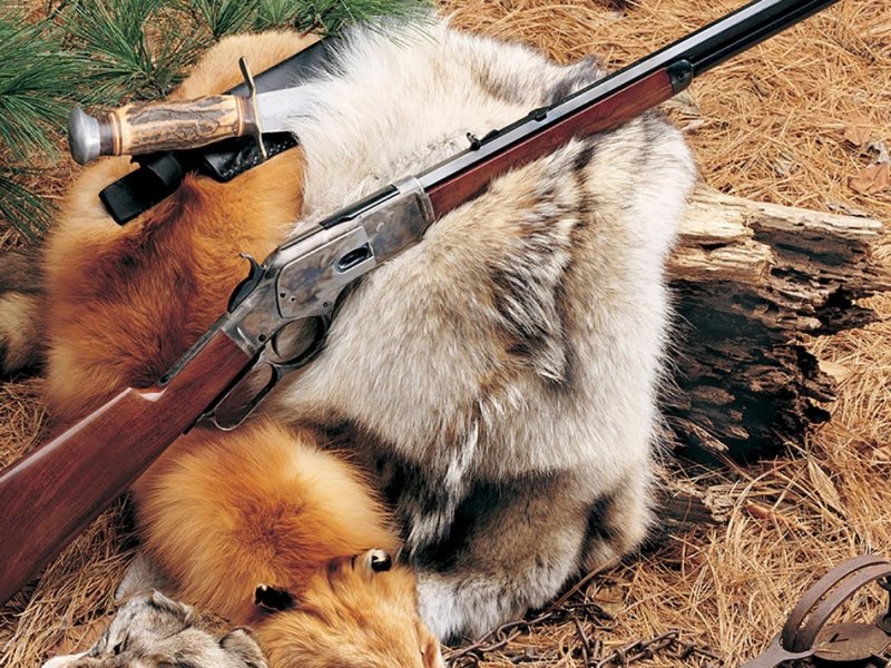 Заставка охота