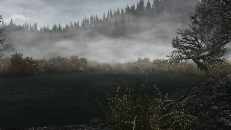 Скандинавия лес