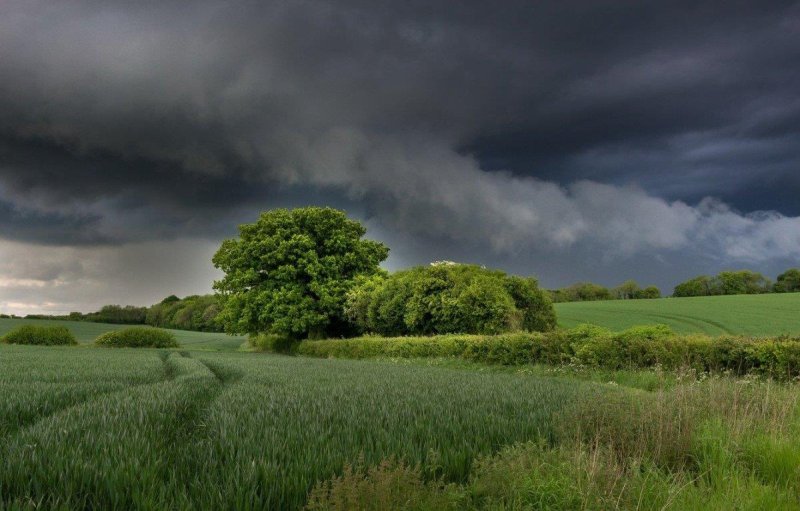 Пасмурный пейзаж