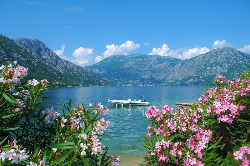 Черногория горы и море