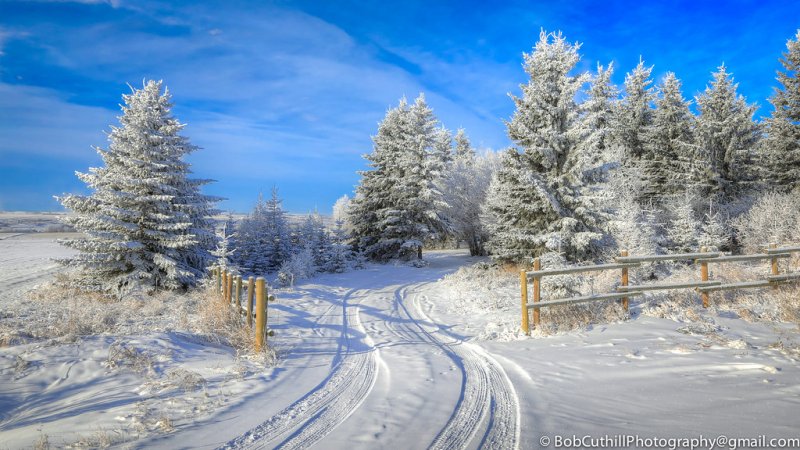 Зимний пейзаж