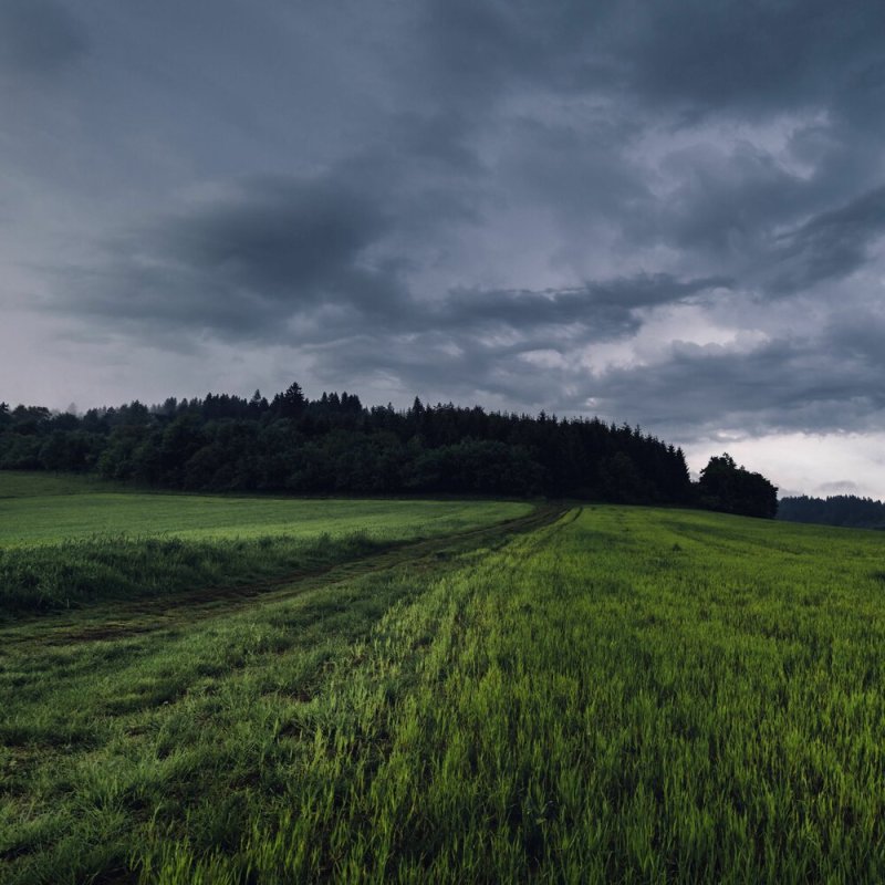 Природа пасмурно