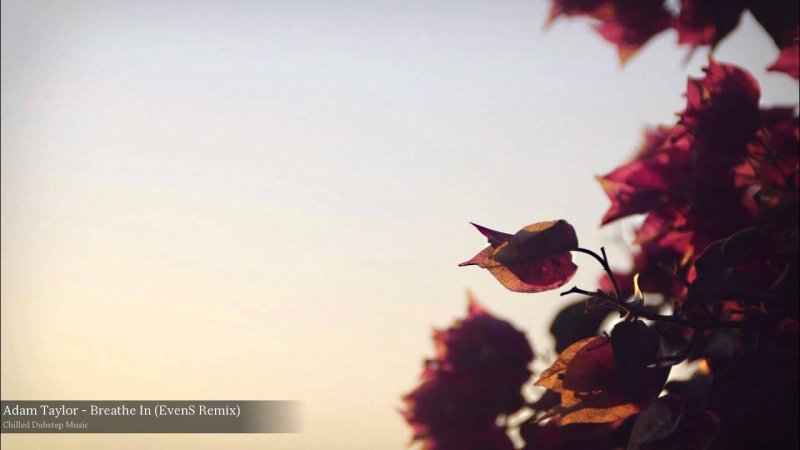 Природа осень Минимализм