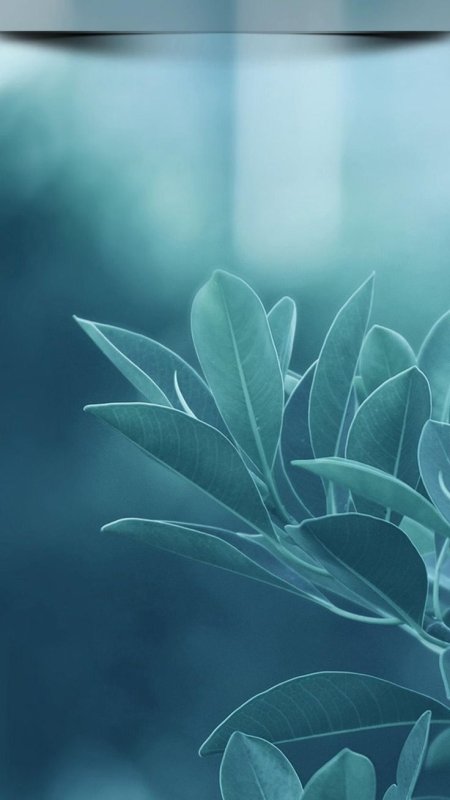 Абстракция природа