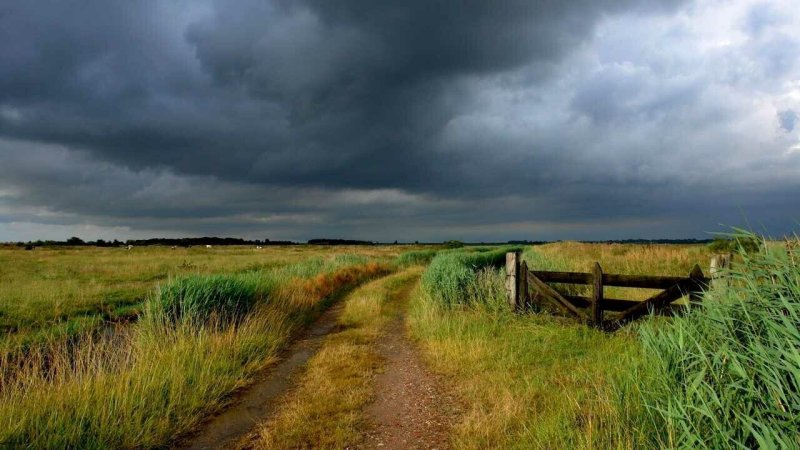 Деревенская дорога