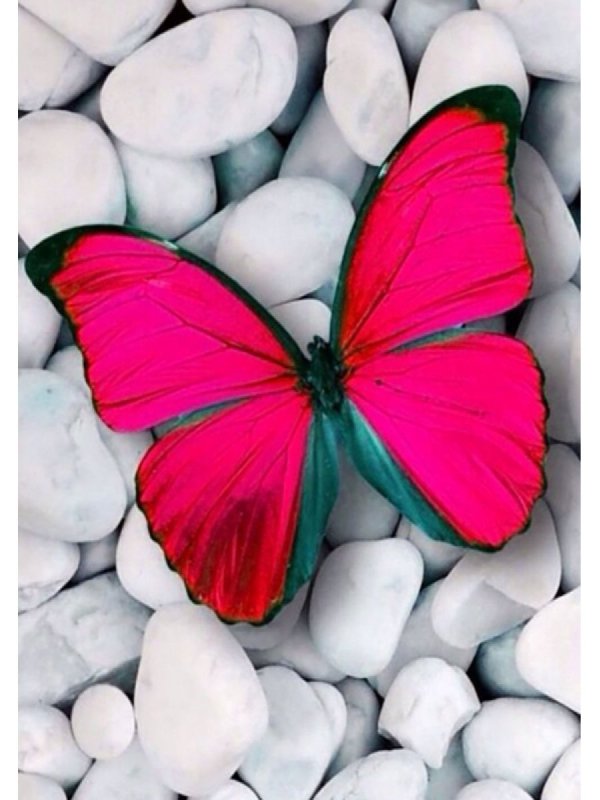 Бабочки розовые