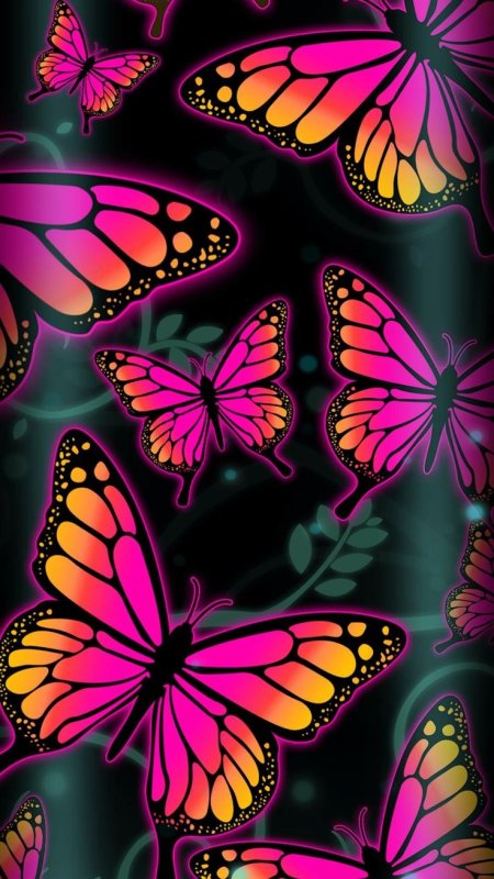 Красивые бабочки