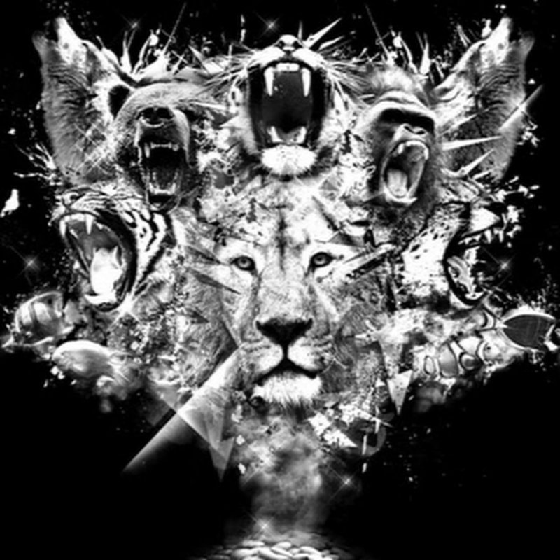 Обои на телефон крутые популярные