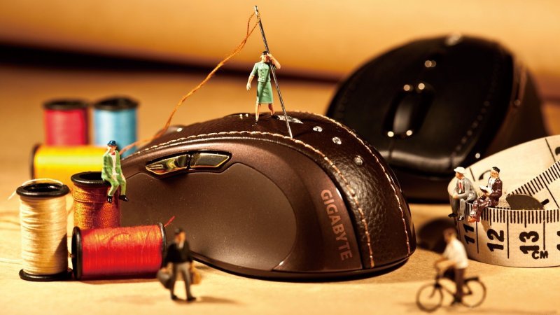 Обои на рабочий стол прикольные