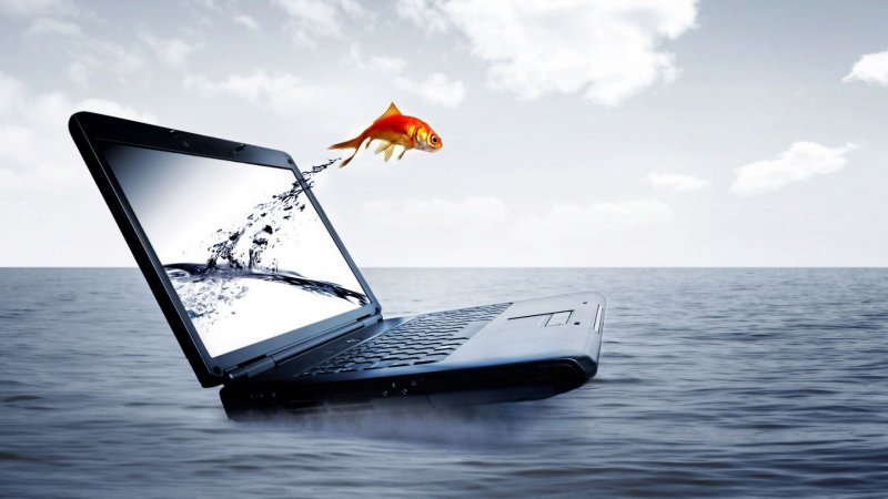 Картинки на ноутбук на рабочий стол