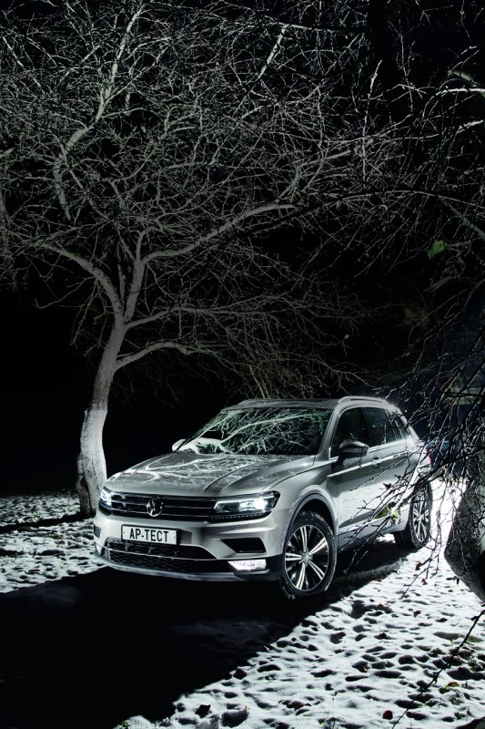 Фольксваген Тигуан вертикальные