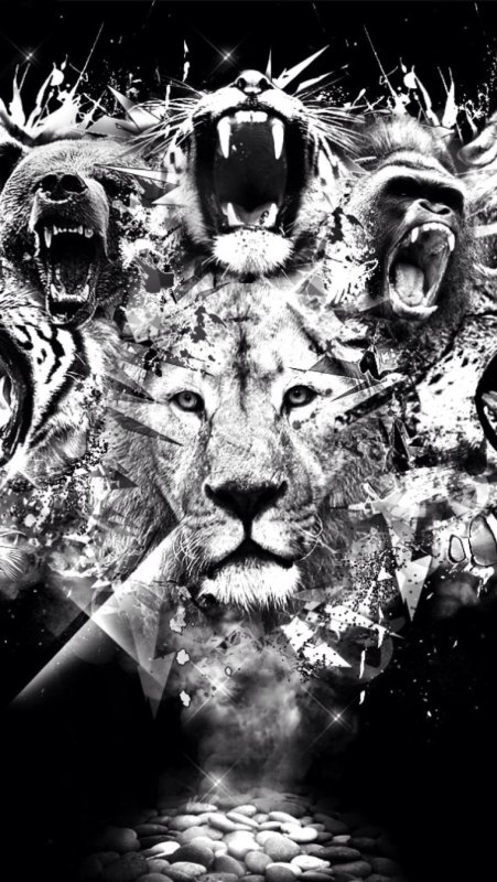 Крутые заставки на экран