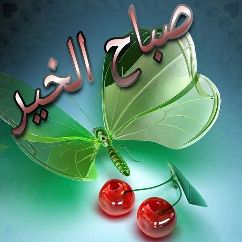 Красивые обои на телефон