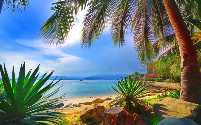 Тропический пляж