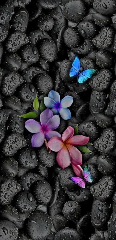 Фон на телефон красивые