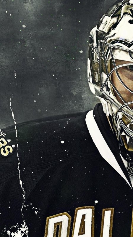 Хоккейный вратарь