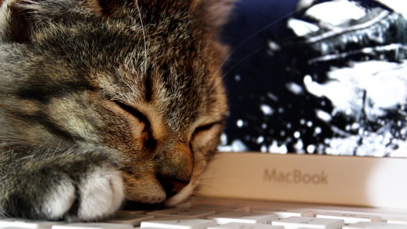 Заставка на ноут