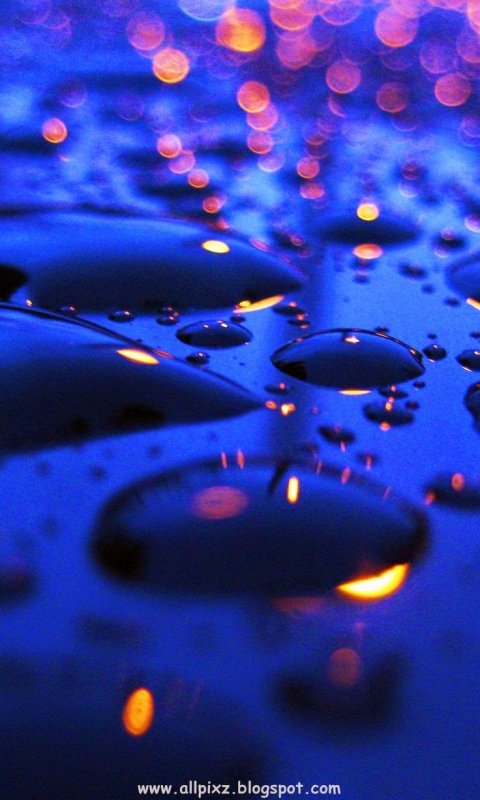 Заставки на телефон красивые