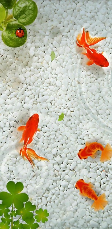 Заставка на телефон рыбки