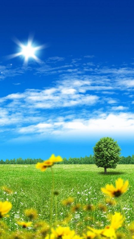 Летний фон на телефон