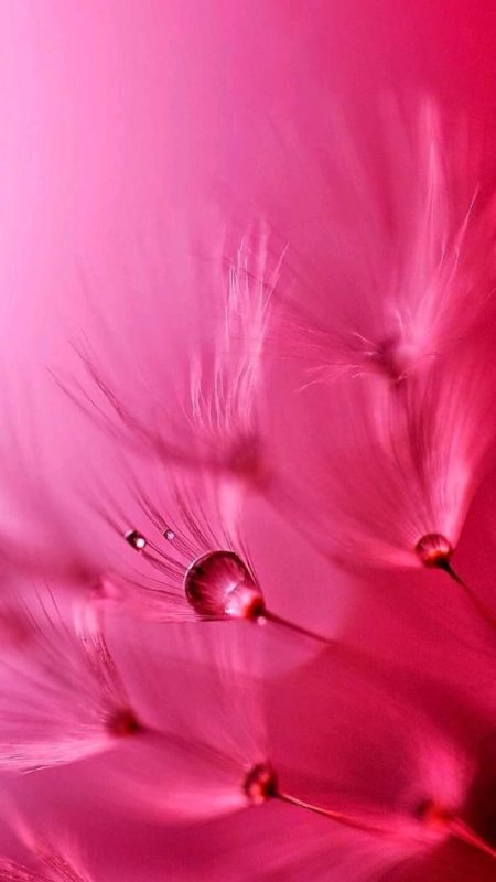 Красивые обои на телефон