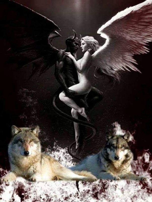 Волк ангел и демон