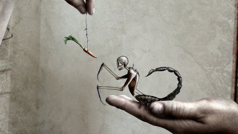 Обои на телефон со смыслом