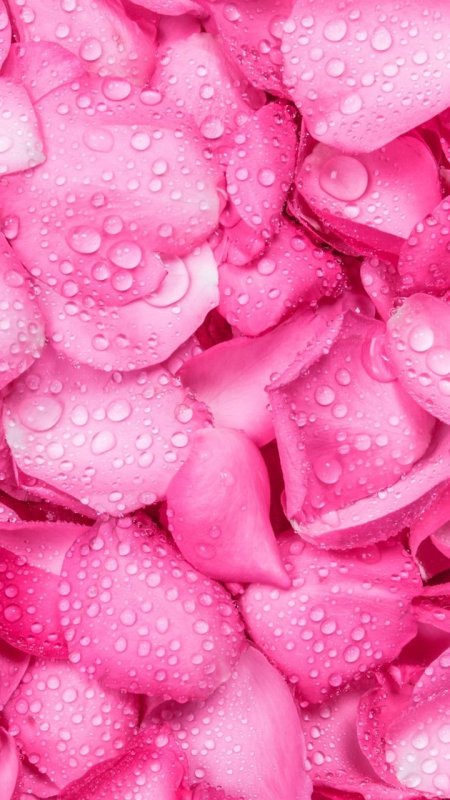 Фон на телефон красивые