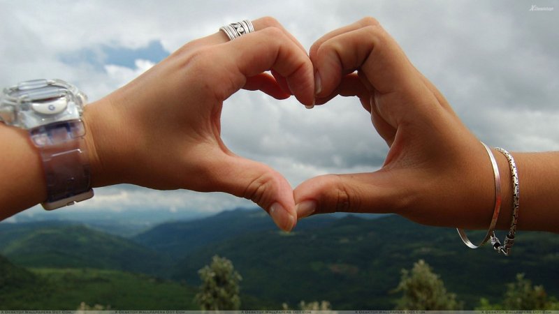 Сердце в руках