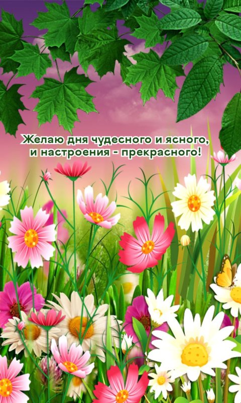 Сказочная Поляна цветов