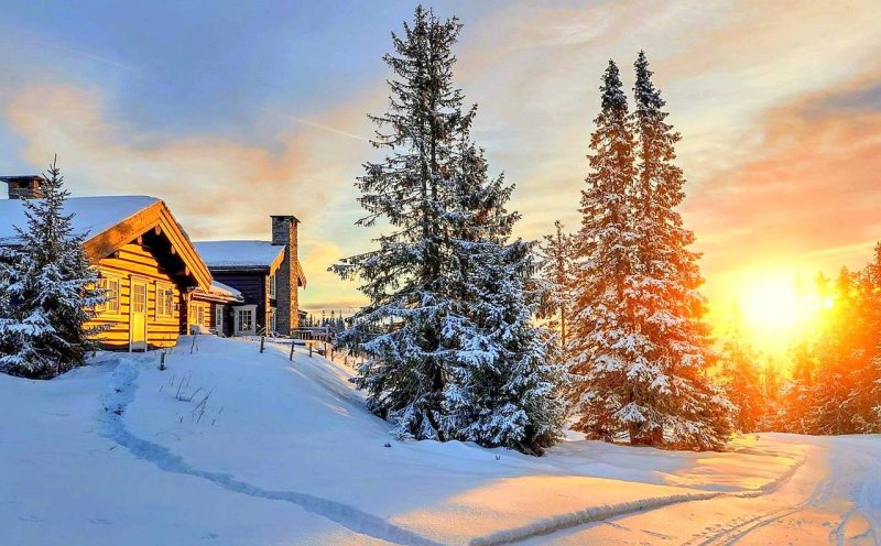 Зимняя природа