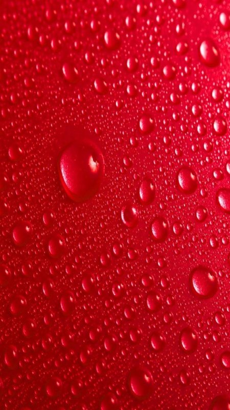 Красные обои на телефон