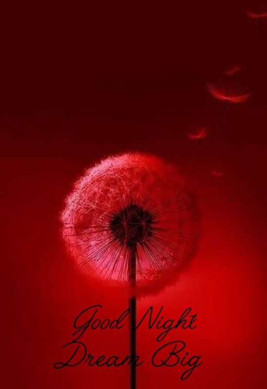 Красные обои на телефон