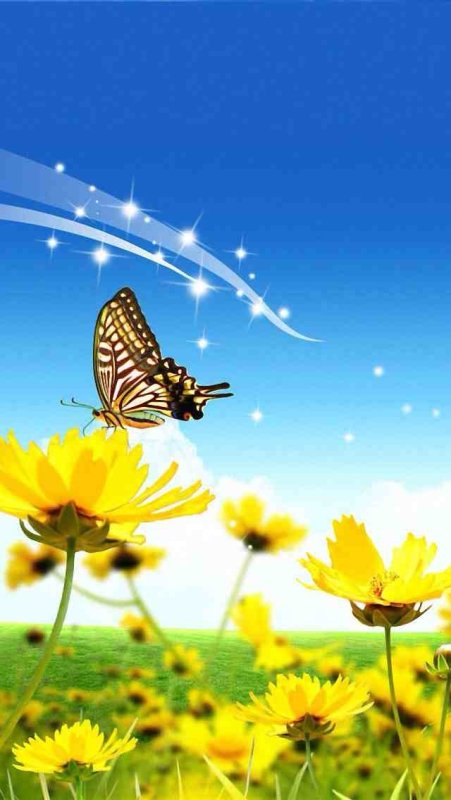 Красивое лето