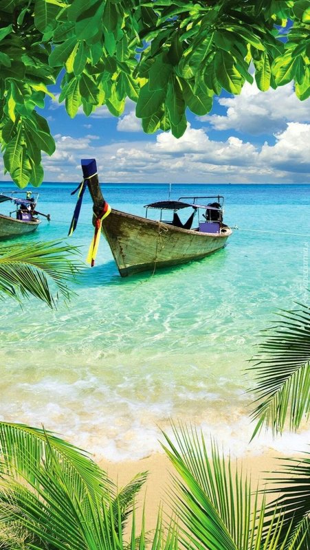 Природа море