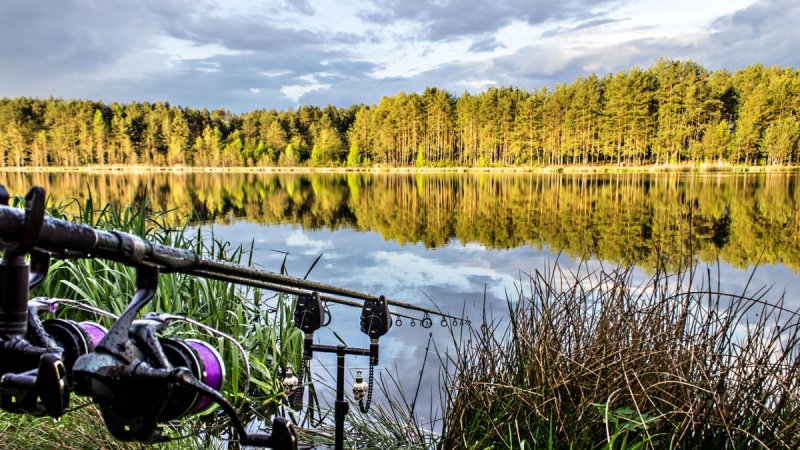 Природа рыбалка