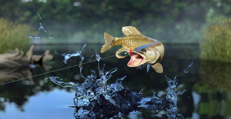 Fishing Planet фидер катушки