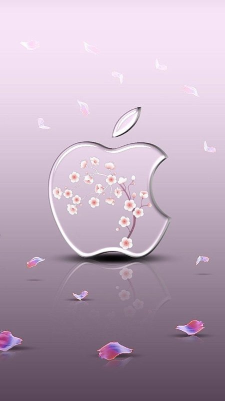 Заставки на телефон красивые