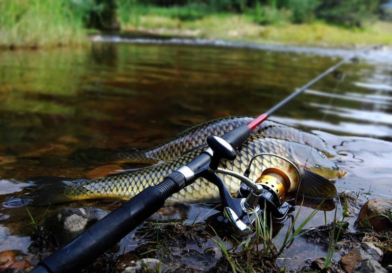 Рыбалка фото