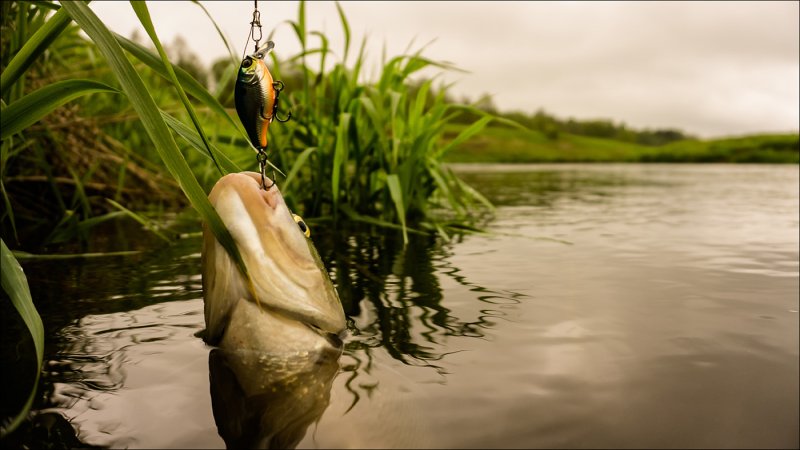 Красивая природа рыбалка