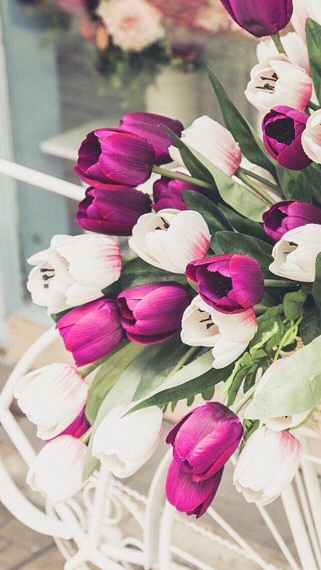 Обои на телефон флористика